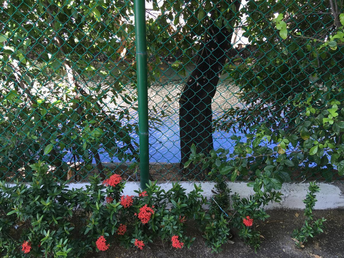فيلا Casa De Playa Pozos Colorados By Chd المظهر الخارجي الصورة